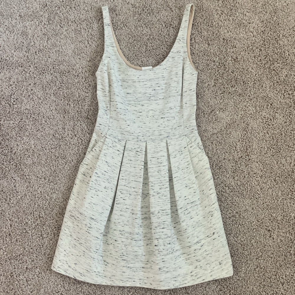 Aritzia Dress